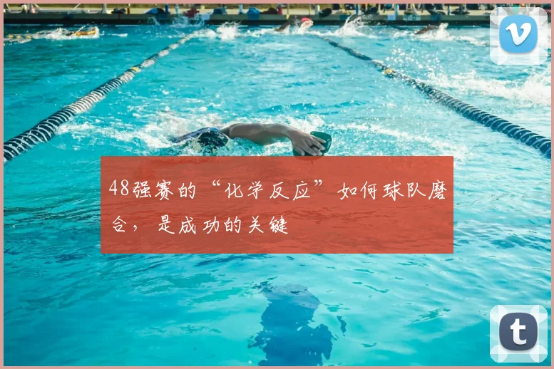 48强赛的“化学反应”如何球队磨合，是成功的关键